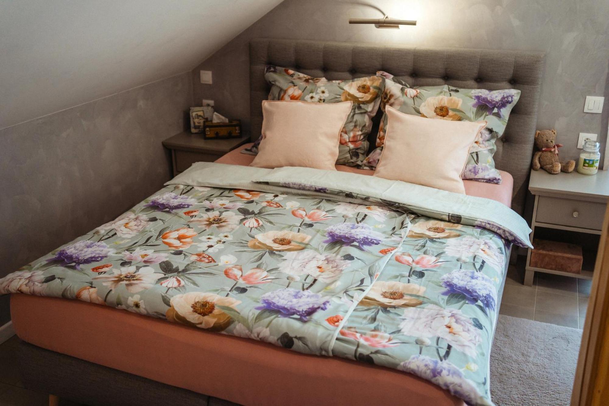 Pod Pustevnami Apartmán